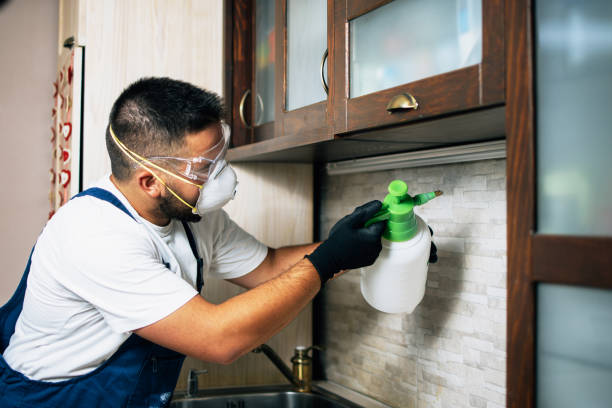 Best Rat Extermination Near Me  in Fremont, MI