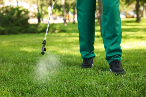 Best Pest Control for Homes  in Fremont, MI