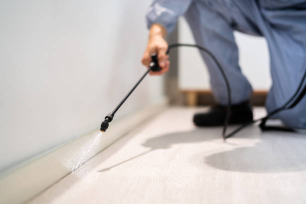 Professional Pest Control in Fremont, MI