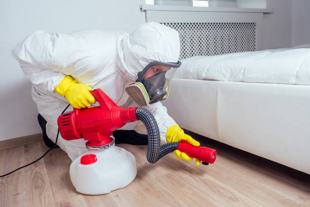 Best Flea Control Services  in Fremont, MI