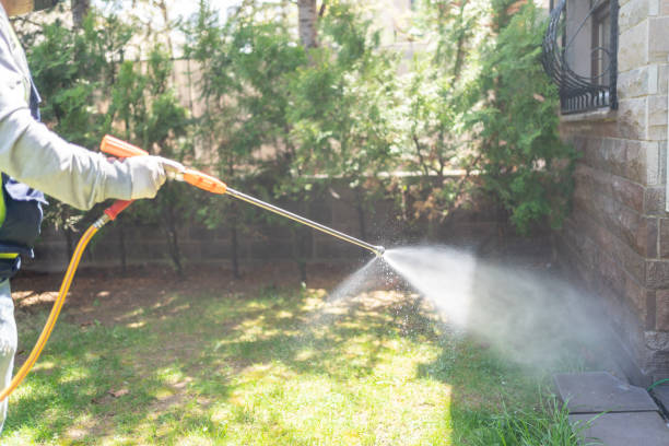 Best Rodent Control Near Me  in Fremont, MI