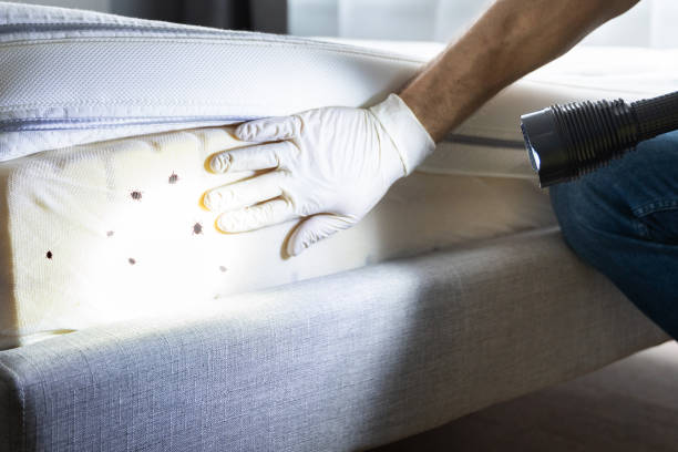 Best Best Pest Control Companies  in Fremont, MI