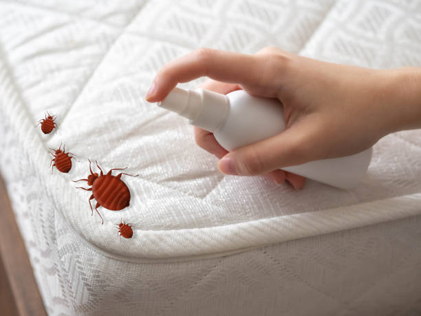 Best Pest Inspection Near Me  in Fremont, MI