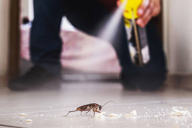 Best Pest Control for Businesses  in Fremont, MI