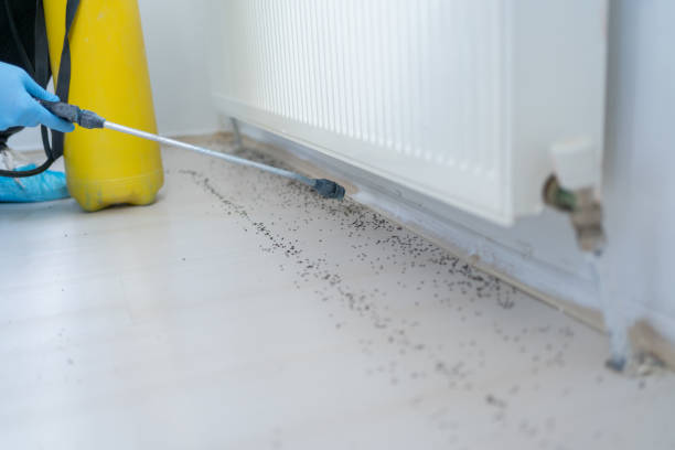 Best Bed Bug Extermination  in Fremont, MI