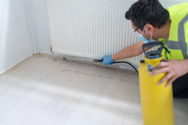 Best Best Pest Control Companies  in Fremont, MI