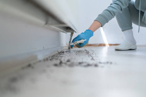 Best Mosquito Control Services  in Fremont, MI