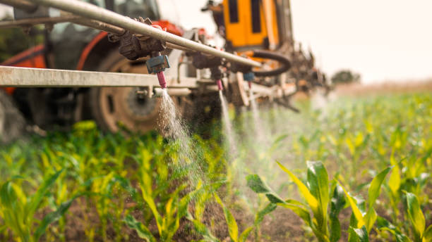 Best Local Pest Control Services  in Fremont, MI